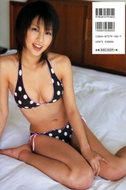 文新信阳毛尖